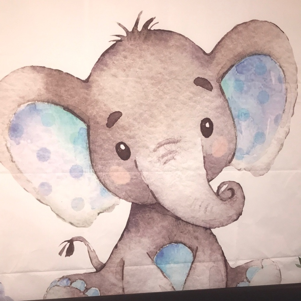 Flawless Nursery or Photo back drop 🐘